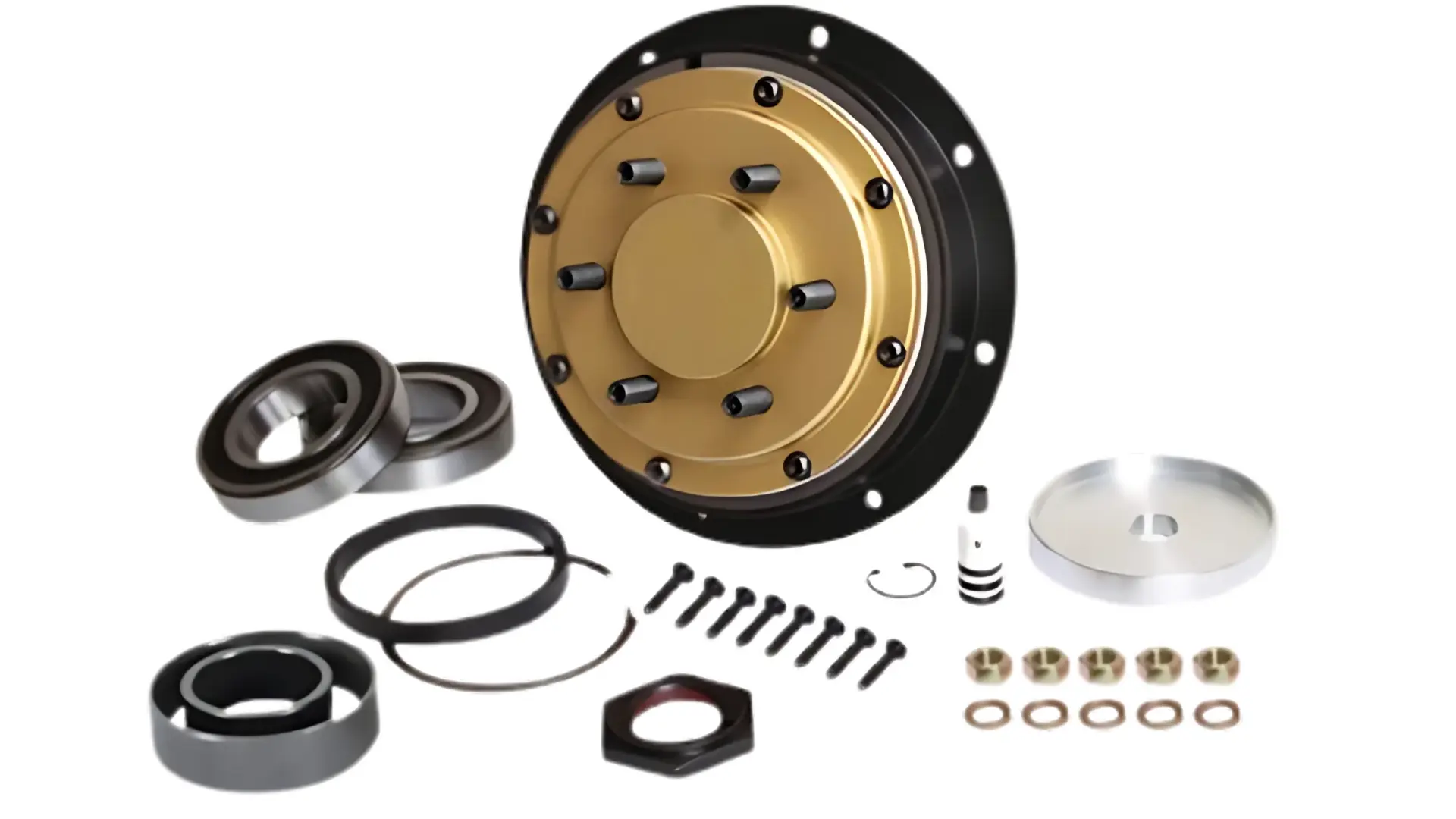 Kit de reparación fan clutch
