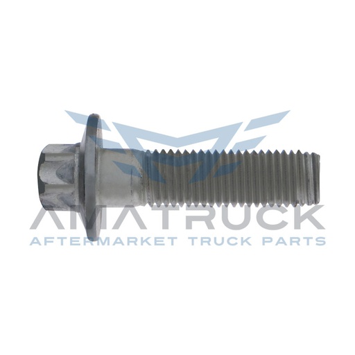 [MFBS1660CGR10.9] TORNILLO BUJE TRIFUNCIONAL TIPO HENDR